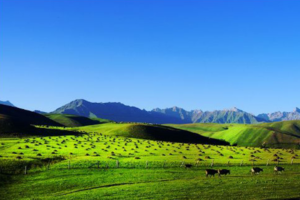 6731������Ϸ(�й���)-�ٷ���վ