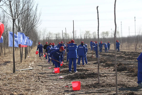 6731������Ϸ(�й���)-�ٷ���վ