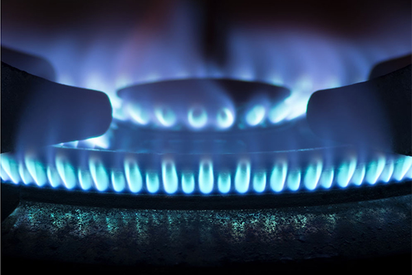 6731������Ϸ(�й���)-�ٷ���վ