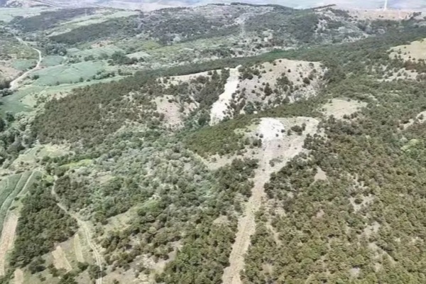 2_副本.jpg 2_副本.jpg