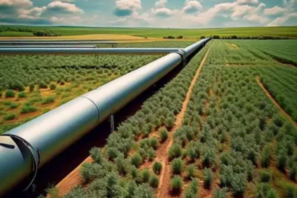 6731������Ϸ(�й���)-�ٷ���վ